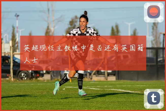 英超现任主教练中是否还有英国籍人士