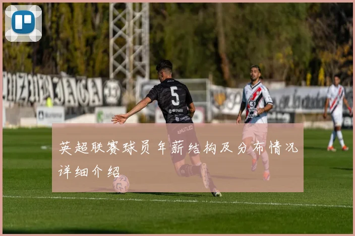 英超联赛球员年薪结构及分布情况详细介绍