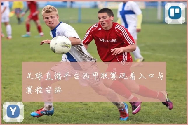 足球直播平台西甲联赛观看入口与赛程安排