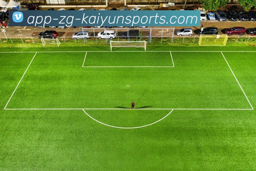 开云app平台生态图